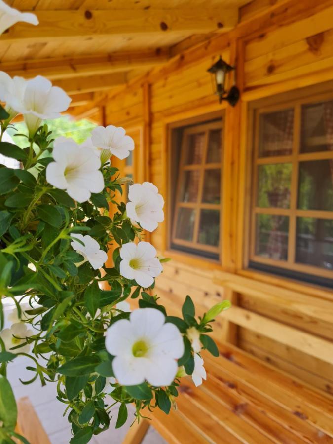 Guest House Rankic Mokra Gora Exterior photo
