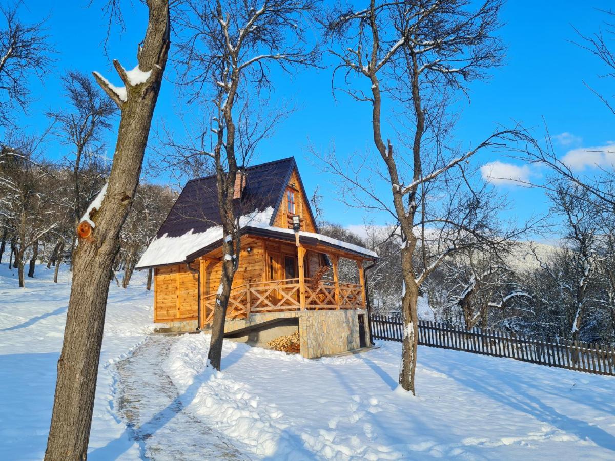 Guest House Rankic Mokra Gora Exterior photo